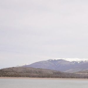 Meet your Posher, Vijji